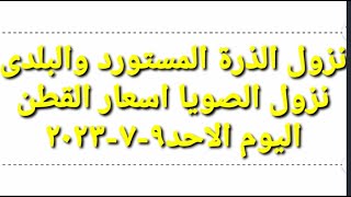 نزول كبير في اسعار الذرة المستورد والبلدى والصويا اسعار الذرة اليوم اسعار القطن اليوم