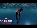 Spider-Man Miles Morales - What's Up Danger