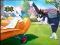 توم وجيلري 11