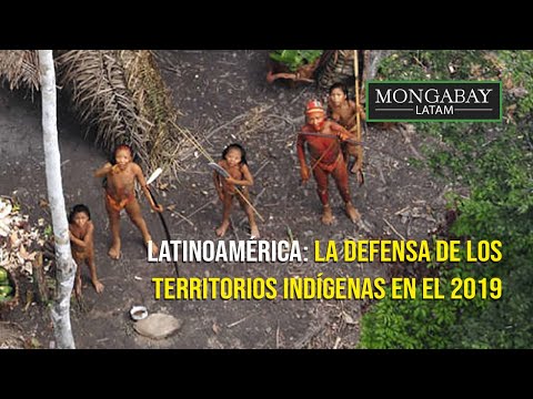 Latinoamérica: la defensa de los territorios indígenas en el 2019