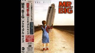 Mr  Big - Wake Up