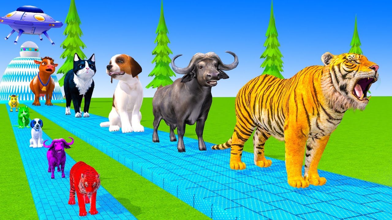 Long Slide Game With Cow Elephant Gorilla Hippopotamus Tiger 3d Animal Game Funny 3d Animals