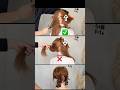 HAIR arrange ✅🦀