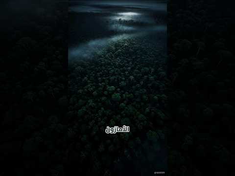 أكبر غابة في العالم الأمازون رئة الأرض