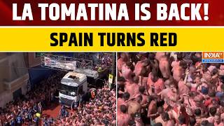Spain’s La Tomatina: Thousands Take Part in Massive Tomato-Throwing Festival | World News