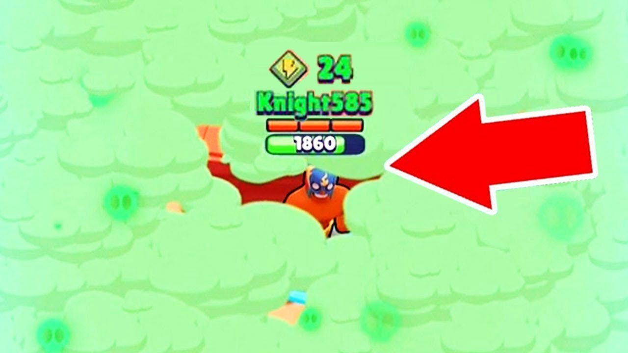 meilleur joueur brawl stars du monde