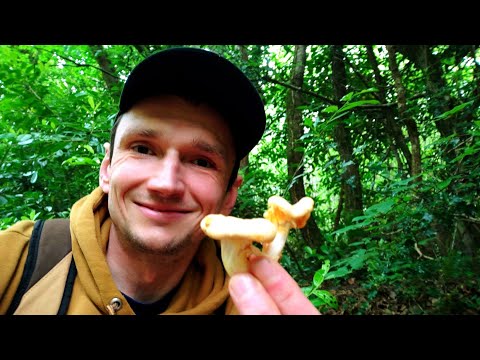 Mushroom Hunting #155 First Mushroom Hunting of the Season