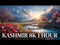 Relaxing Music Live Radio 🔴 Calm Your Mind, Stress Relief &amp; Healing Music