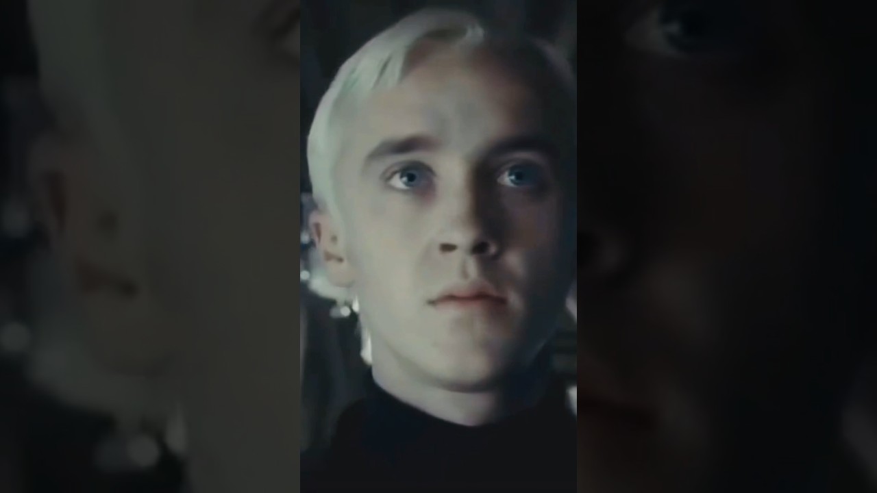 Y/N’s Tired Of Draco’s Attitude