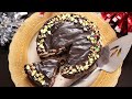No Bake Biscuit Cake | Quick And Easy Recipe | Ruchi's Kitchen