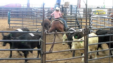 Smurfs Twist - 9/1/12 Sorting - working the gate!!!! - Valley View Ranch