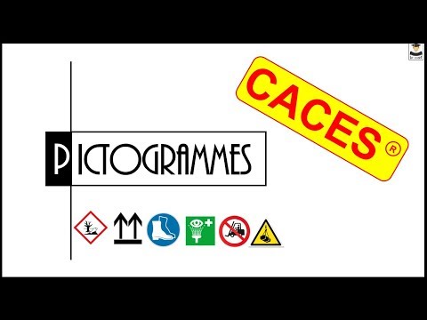 Vidéo: Que Signifient Les Pictogrammes Dans Les Marges? - Vue Alternative