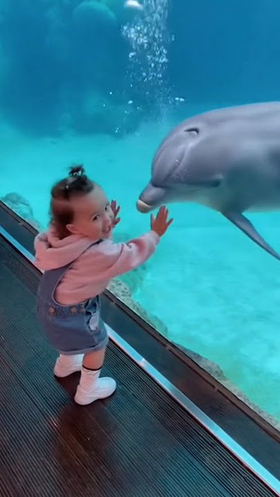 #dolphin #tiktok #viralvideo #puppylove #cute #animalsinging ##happy #kids #dolphins #life