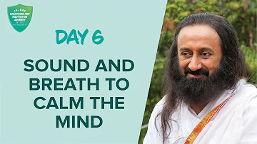 Sound & Breath To Calm The Mind | Day 6 of 10 Days Breath And Meditation Journey With Gurudev