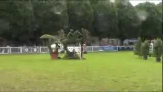Kippure Norma - Royal Dublin Horse Show