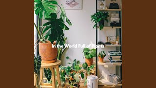 Groovy Music for Better Spirits