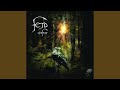 Miniature de la vidéo de la chanson Eifur
