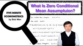 What Is Zero Conditional Mean Assumption? | 【Five Minute Econometrics】Topic 8