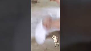 Şeyma Subaşı Olay Hareketler