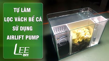 Chế lọc vách bằng tấm Fomex | DIY internal sump filter for aquarium using fomex sheet | LEE DiY