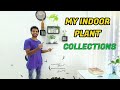 My Indoor Plant Collection | റൂമിലെ ചെടികൾ കാണാം|| Room Garden Tour