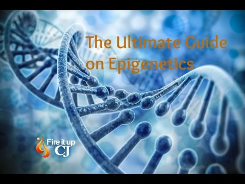Epigenetics: The Genie in your Genes |Dawson Church - YouTube