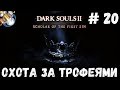 Dark Souls 2 SotFS на ПЛАТИНУ. ч. 20: КОРОНА ТОПЛОГО КОРОЛЯ