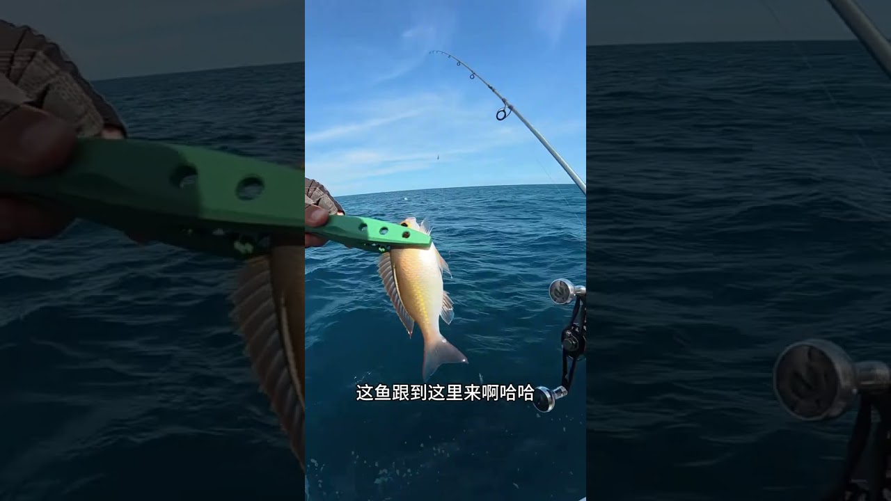 A day in the life of the Holy Spirit of Fishing    Fishing Fisherman Sea Fishing Outdoor