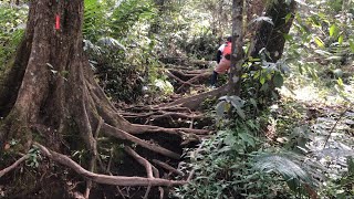 PENDAKIAN GUNUNG CIREMAI VIA LINGGA JATI 2022 |LUAR BIASA TREKNYA  #ciremai #linggarjati #mountains