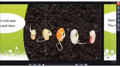 Planting Seeds by Kathryn Clay (on MyOn)