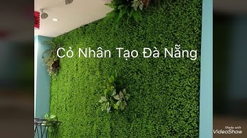 Thi công cỏ nhân tạo, cỏ sân vườn giá rẻ Đà Nẵng