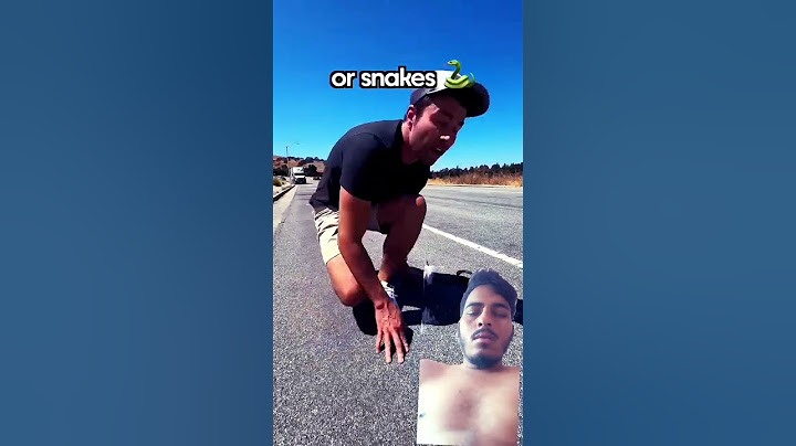 Turtles or Snakes- Which Do Cars Swerveto Hit More?