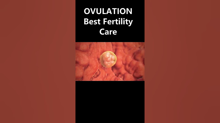 OVULATION / PREGNANCY/Best Gynaecologist Ahmedabad /Dr Dipti Jain / YouTube Shorts