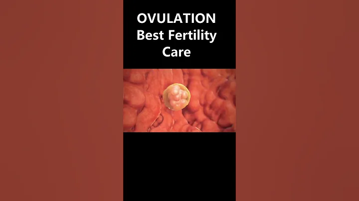 OVULATION / PREGNANCY/Best Gynaecologist Ahmedabad /Dr Dipti Jain / YouTube Shorts