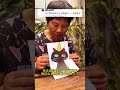Grandma's Ugly Kitten: Kids' Reaction