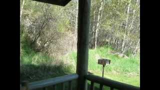 Rye Creek Lodge- Aspen Cabin.avi