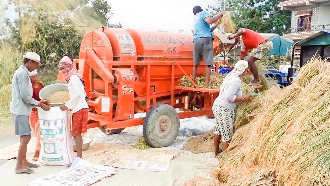 sonalika Di 745 iii with J S paddy thresher village farming