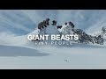 Giant beasts tiny people  the north face