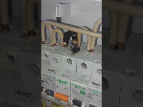 не сработал автомат#shortvideo