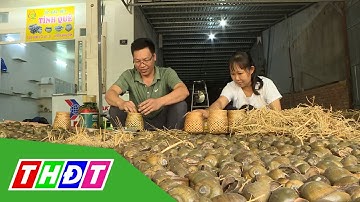 Đồng Tháp: Tình quê từ ốc gác bếp | THDT