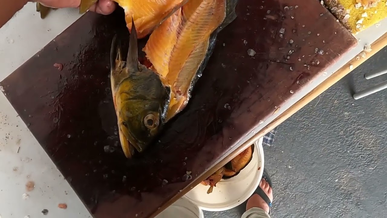 COMO TIRAR FILÉ DE TUCUNARÉ, SEM DESPERDÍCIO. 