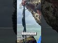 Dangerous snakes with Beetlejuice stripes 🐍😲                       🎥: Instagram / therealtarzann