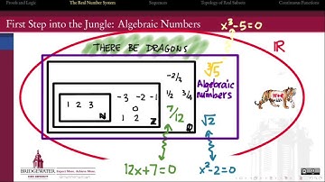 401.1A The Rationals Among the Reals