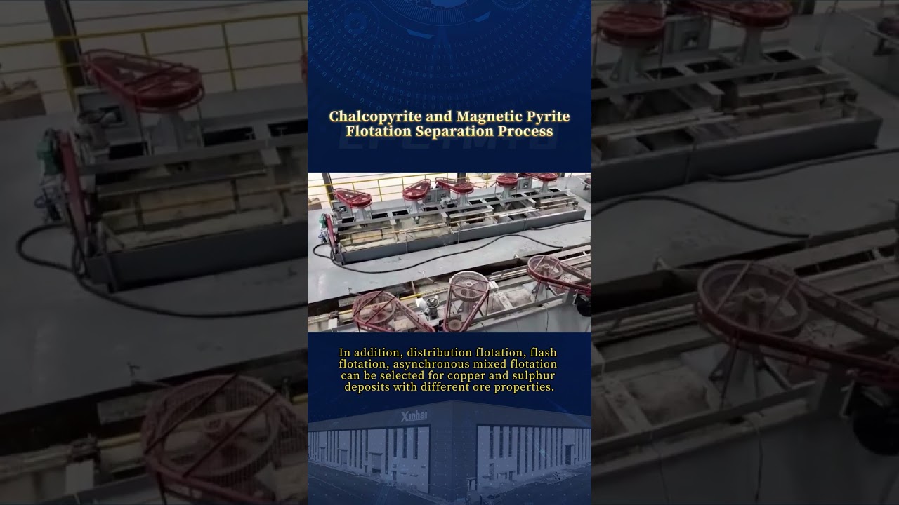 Chalcopyrite and magnetic pyrite flotation separation process