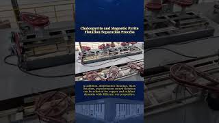 Chalcopyrite and magnetic pyrite flotation separation process