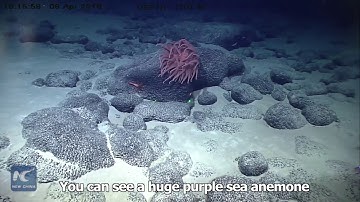 Chinese deep-sea robot