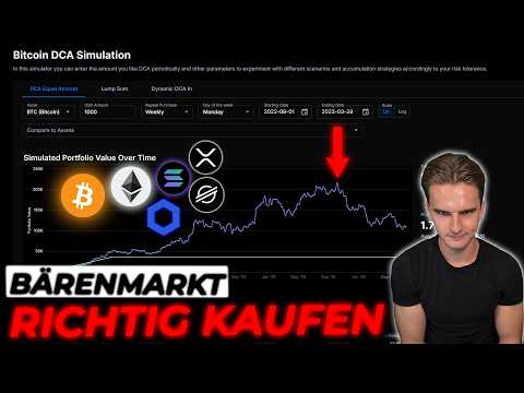 Bitcoin und Altcoins KORREKT in diesem Bärenmarkt kaufen (Zeitpunkt)