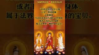 辟邪金丹是什麼?