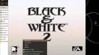 Gaming In Linux : Black And White 2