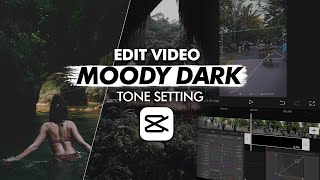 EDIT VIDEO AESTHETIC !! MOODY DARK TONE CAPCUT